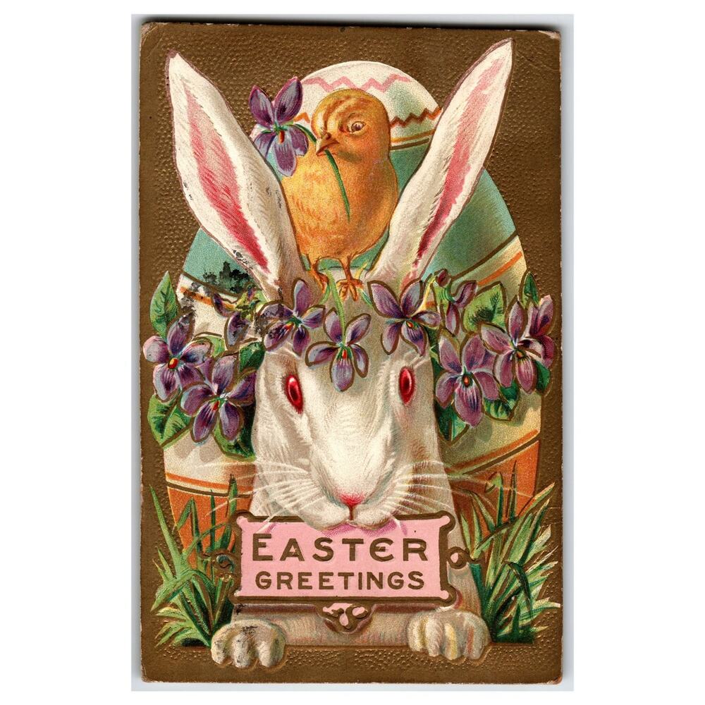 Antique 1909 Embossed Easter Bunny Chick Violets Postcard Easter Greetings